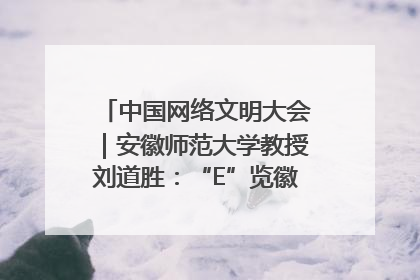中国网络文明大会｜安徽师范大学教授刘道胜：“E”览徽风，构筑中华民族共有精神家园