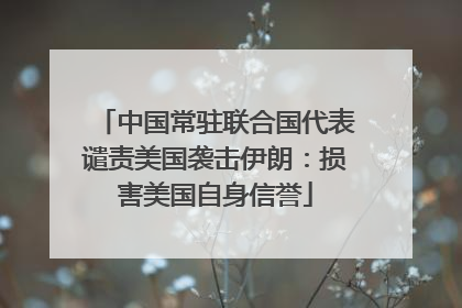 中国常驻联合国代表谴责美国袭击伊朗：损害美国自身信誉