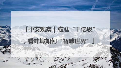 中安观察｜瞄准“千亿级”，看蚌埠如何“智感世界”