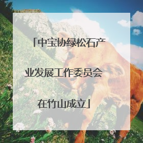 中宝协绿松石产业发展工作委员会在竹山成立