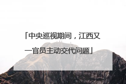 中央巡视期间，江西又一官员主动交代问题