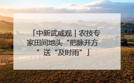 中新武威观｜农技专家田间地头“把脉开方”送“及时雨”