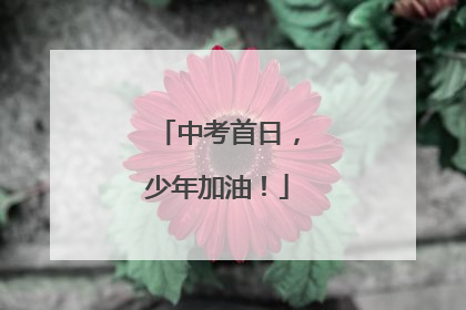 中考首日，少年加油！