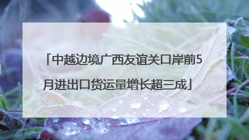 中越边境广西友谊关口岸前5月进出口货运量增长超三成