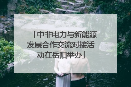 中非电力与新能源发展合作交流对接活动在岳阳举办