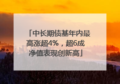 中长期债基年内最高涨超4%，超6成净值表现创新高