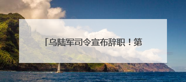 乌陆军司令宣布辞职！第二轮谈判在即，泽连斯基提出三大核心诉求！乌方透露摧毁41架俄战略轰炸机