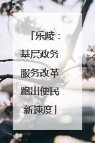 乐陵：基层政务服务改革跑出便民新速度