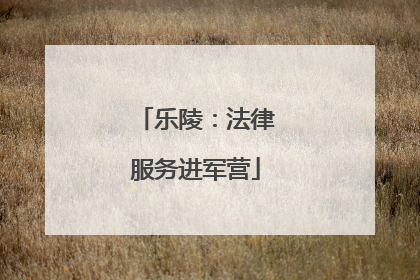 乐陵：法律服务进军营