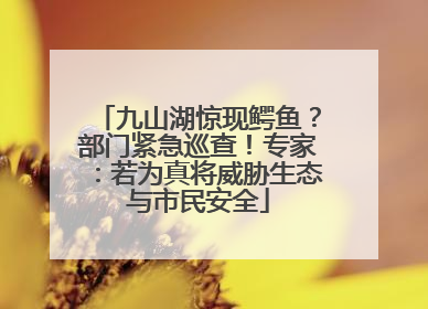 九山湖惊现鳄鱼？部门紧急巡查！专家：若为真将威胁生态与市民安全