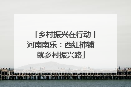 乡村振兴在行动丨河南南乐：西红柿铺就乡村振兴路
