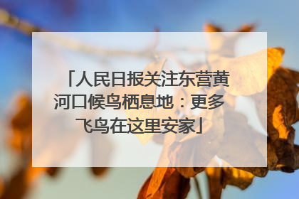 人民日报关注东营黄河口候鸟栖息地：更多飞鸟在这里安家