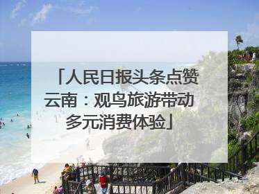 人民日报头条点赞云南：观鸟旅游带动多元消费体验