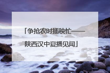 争抢农时插秧忙——陕西汉中夏播见闻