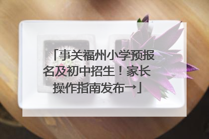 事关福州小学预报名及初中招生！家长操作指南发布→