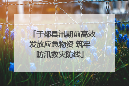 于都县汛期前高效发放应急物资 筑牢防汛救灾防线