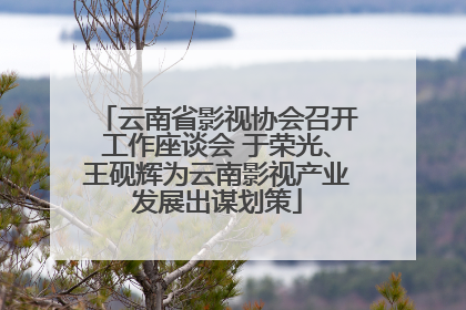 云南省影视协会召开工作座谈会 于荣光、王砚辉为云南影视产业发展出谋划策