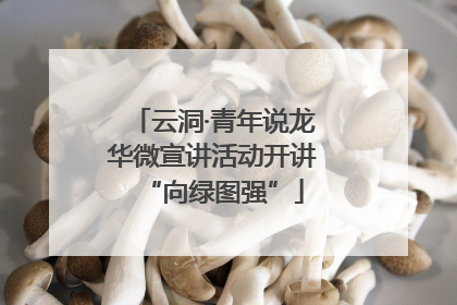 云洞·青年说龙华微宣讲活动开讲“向绿图强”