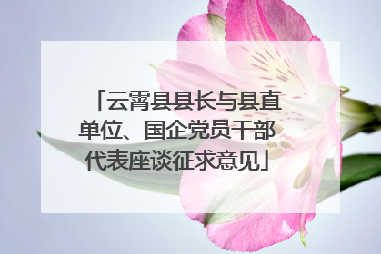 云霄县县长与县直单位、国企党员干部代表座谈征求意见
