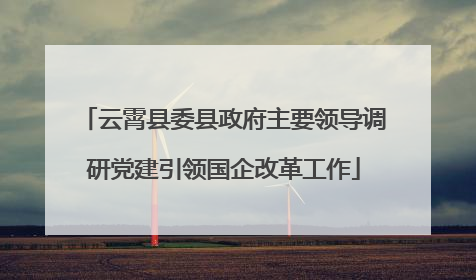 云霄县委县政府主要领导调研党建引领国企改革工作