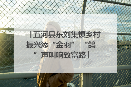 五河县东刘集镇乡村振兴添“金羽” “鸽”声叫响致富路