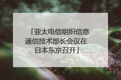 亚太电信组织信息通信技术部长会议在日本东京召开