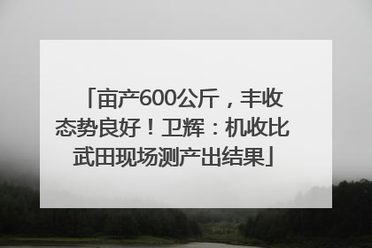 亩产600公斤，丰收态势良好！卫辉：机收比武田现场测产出结果