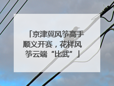 京津冀风筝高手顺义开赛，花样风筝云端“比武”