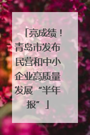 亮成绩！青岛市发布民营和中小企业高质量发展“半年报”