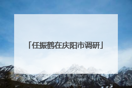任振鹤在庆阳市调研