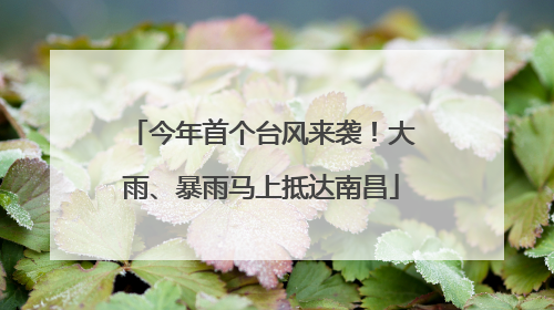 今年首个台风来袭！大雨、暴雨马上抵达南昌