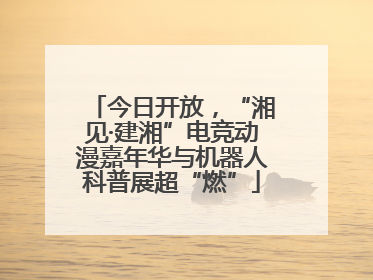 今日开放，“湘见·建湘”电竞动漫嘉年华与机器人科普展超“燃”