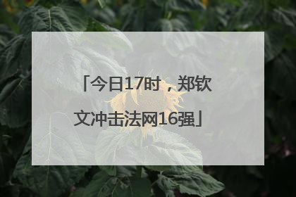 今日17时，郑钦文冲击法网16强