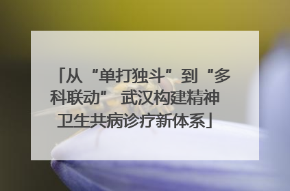 从“单打独斗”到“多科联动” 武汉构建精神卫生共病诊疗新体系