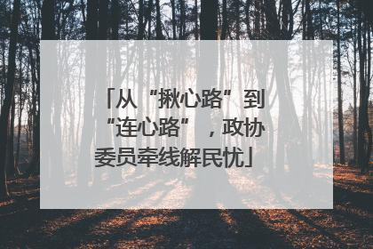 从“揪心路”到“连心路”，政协委员牵线解民忧