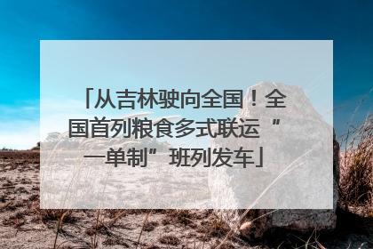 从吉林驶向全国！全国首列粮食多式联运“一单制”班列发车