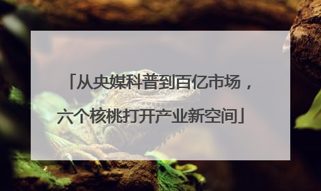 从央媒科普到百亿市场，六个核桃打开产业新空间