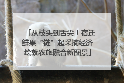 从枝头到舌尖！宿迁鲜果“链”起采摘经济绘就农旅融合新图景
