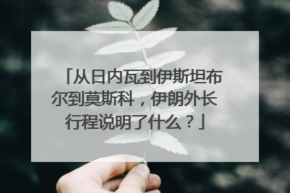 从日内瓦到伊斯坦布尔到莫斯科，伊朗外长行程说明了什么？