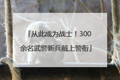从此成为战士！300余名武警新兵戴上警衔