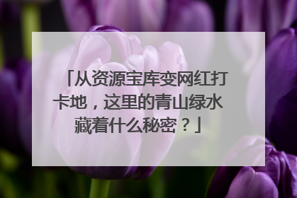 从资源宝库变网红打卡地，这里的青山绿水藏着什么秘密？
