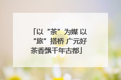 以“茶”为媒 以“旅”搭桥 广元好茶香飘千年古都