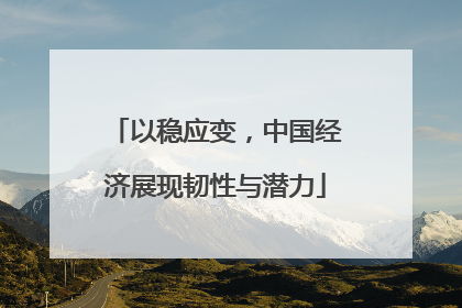 以稳应变，中国经济展现韧性与潜力