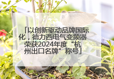 以创新驱动品牌国际化，德力西电气变频器荣获2024年度“杭州出口名牌”称号