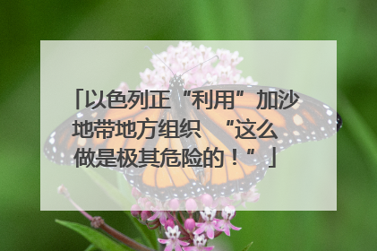 以色列正“利用”加沙地带地方组织  “这么做是极其危险的！”