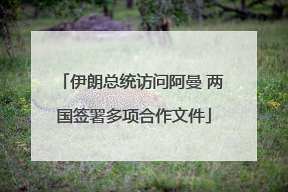 伊朗总统访问阿曼 两国签署多项合作文件