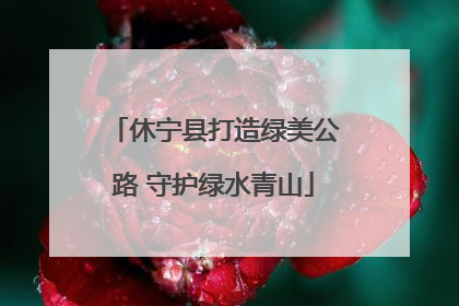休宁县打造绿美公路 守护绿水青山