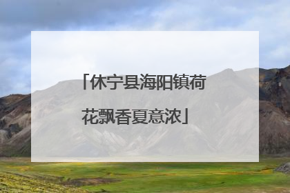 休宁县海阳镇荷花飘香夏意浓