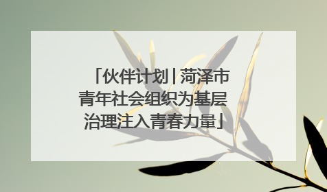 伙伴计划│菏泽市青年社会组织为基层治理注入青春力量