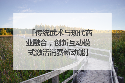 传统武术与现代商业融合，创新互动模式激活消费新动能